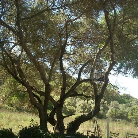 Demeure Traditionnelle En Pierre Avec Piscine Sartene (Corsica)