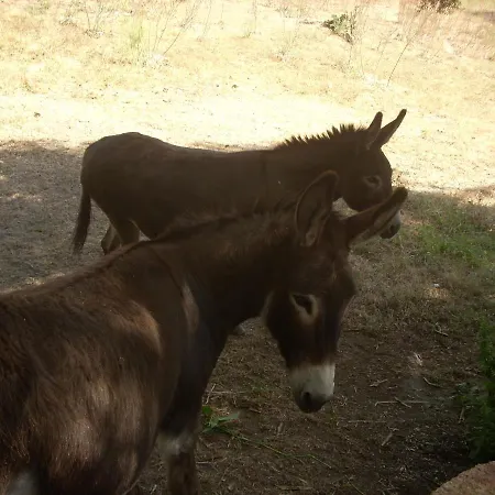 Demeure Traditionnelle En Pierre Avec Piscine Holiday home