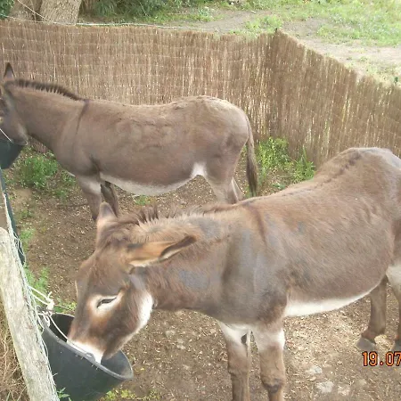 Demeure Traditionnelle En Pierre Avec Piscine Holiday home *