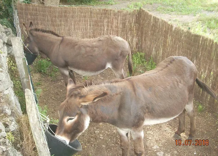 Demeure Traditionnelle En Pierre Avec Piscine 度假居 *