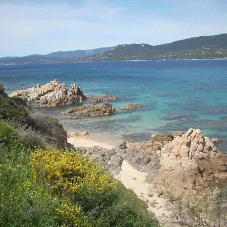 Demeure Traditionnelle En Pierre Avec Piscine Sartène