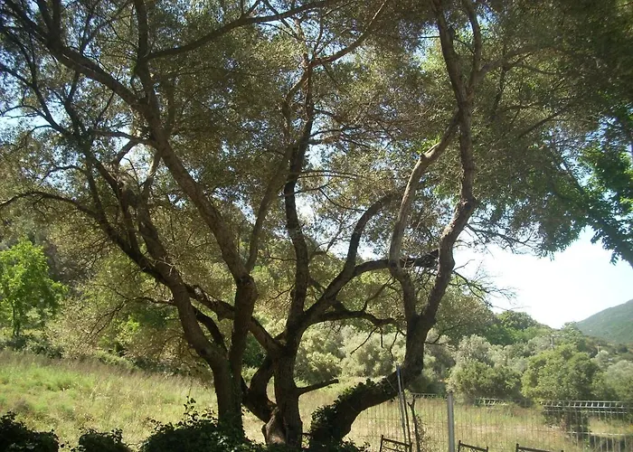 Demeure Traditionnelle En Pierre Avec Piscine Sartène