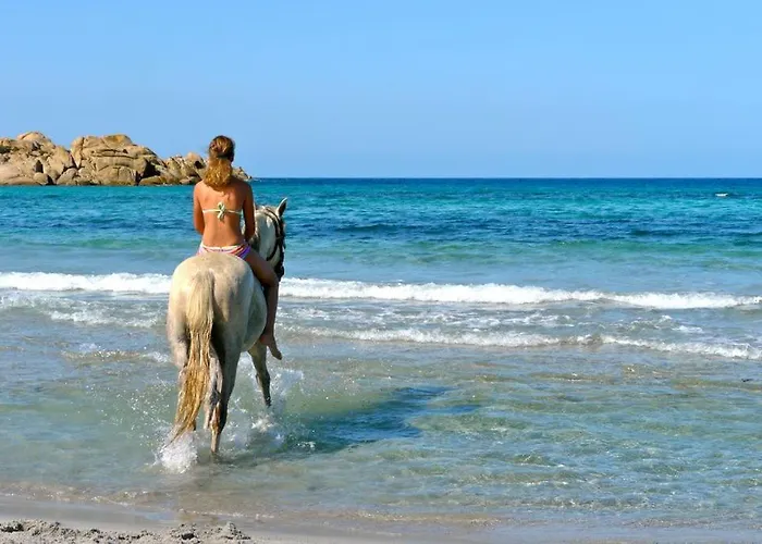 Demeure Traditionnelle En Pierre Avec Piscine Casa vacanze *