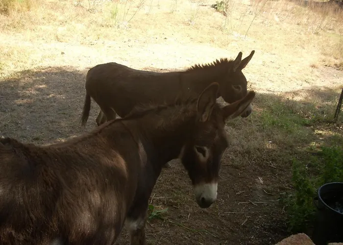 Demeure Traditionnelle En Pierre Avec Piscine Casa vacanze